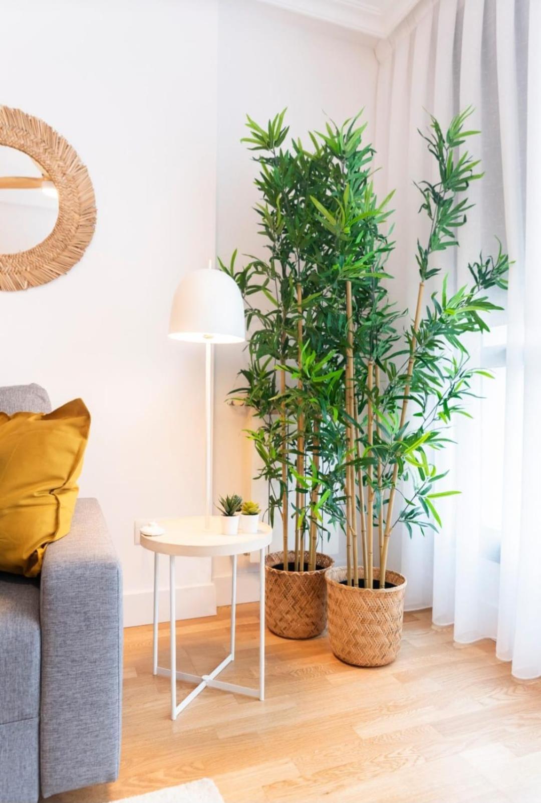Apartamentos Rocamar Onís Dış mekan fotoğraf